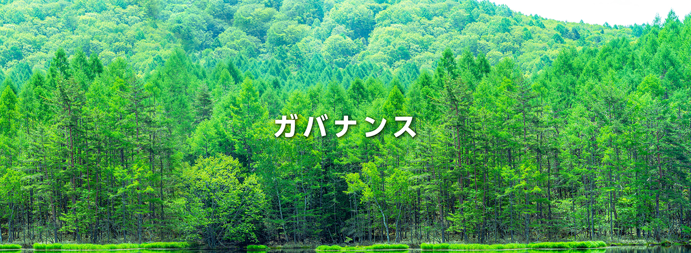 ガバナンス